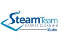Steam Team Carpet and Tile Cleaning logo